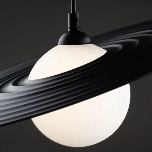 Подвесной светильник Freya FR5390PL-01B (Черный) - фото 5