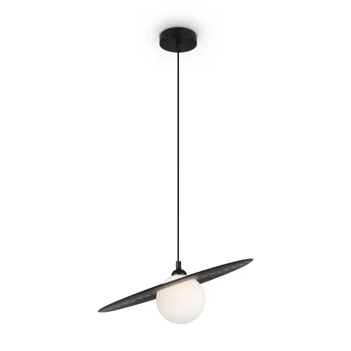 Подвесной светильник Freya FR5390PL-01B (Черный) - фото 9