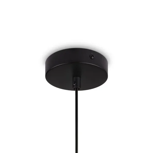 Подвесной светильник Freya FR5390PL-01B (Черный) - фото 10