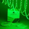 Светодиодная лента Class Premium, 5050, 60 led/m, RGB, 24V, IP33, RN20 - фото II