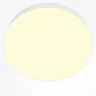 Потолочный светильник Зон / Zon 45 Вт 2700 К 120° (Белый) C032CL-45W2.7K-RD-W - фото 3