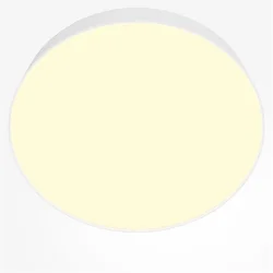 Потолочный светильник Зон / Zon 45 Вт 2700 К 120° (Белый) C032CL-45W2.7K-RD-W