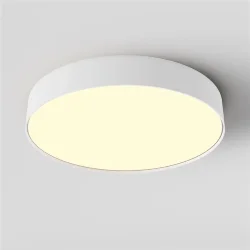 Потолочный светильник Зон / Zon 45 Вт 2700 К 120° (Белый) C032CL-45W2.7K-RD-W