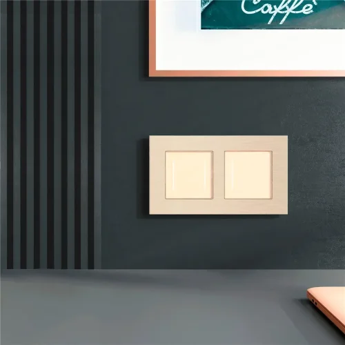 Рамка из металла на 2 поста АluMax шампань алюминий W0023511 - фото 2