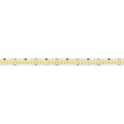 Светодиодная лента RT-А252-10mm 24V Day5000 (11 W/m, IP20, 2835, 5m) (Arlight, Открытый) 028618(2)