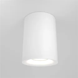 Потолочный светильник Изящность / Slim 1*GU10 10 Вт (Белый) C012CL-01W