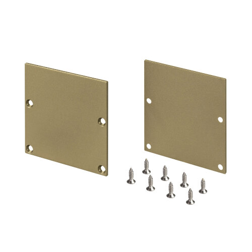 Заглушка SL-LINE-5050-LW GOLD глухая (Arlight, Металл) - фото 1