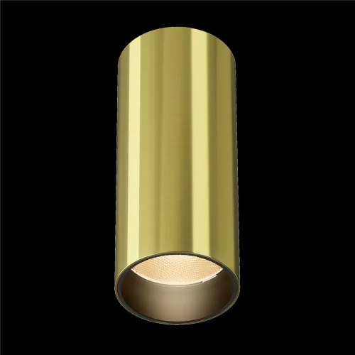 Потолочный светильник Фокус / FOCUS LED 12 Вт 2700 К 50° (Латунь) C056CL-L12W2.7K-W-BS - фото 4