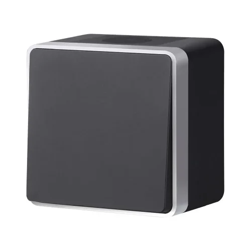 W5010234/ Выключатель одноклавишный влагозащищенный Gallant (черный с серебром) W5010234 - фото