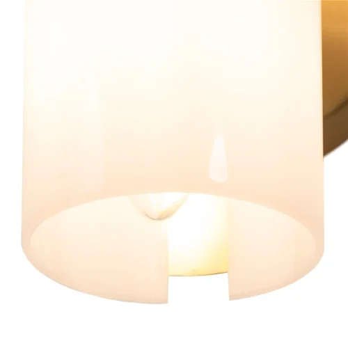 Настенный светильник (бра) Цветок / Fiore (Латунь) FR5368WL-02BS - фото 8