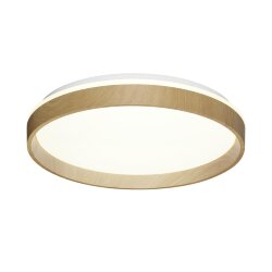 Настенно-потолочный светильник «Sonex» 7684/DL, серия: GARI WOOD (накладной) - заменяемый LED модуль