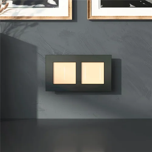 Рамка из металла на 2 поста АluMax черный алюминий W0023508 - фото 3