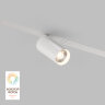 Светильник на шине Denkirs SMART SPOT | СМАРТ СПОТ DK8010-WH.