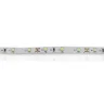 Светодиодная лента Standart PRO class, 3528, 60 led/m, white, 12V, IP20, B11 - фото II