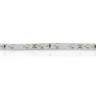 Светодиодная лента Standart PRO class, 3528, 60 led/m, white, 12V, IP20, B11 - фото II