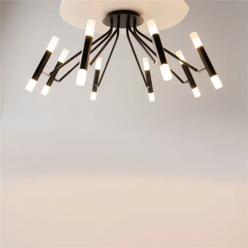 Потолочный светильник Vigo G9х16 (Черный) - фото 10