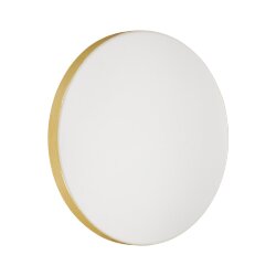 Настенно-потолочный светильник «Sonex» 3066/CL, серия: SMALLI (накладной) - заменяемый LED модуль