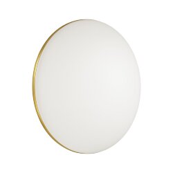 Настенно-потолочный светильник «Sonex» 3043/EL, серия: LASSA (накладной) - Мобильное приложение LampSmart