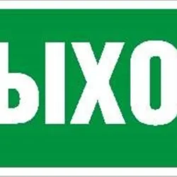 Пиктограмма &#039;Выход&#039; ПЭУ 010 260х130 PC-M MIZAR STANDARD (уп.2шт) СТ 2502002850