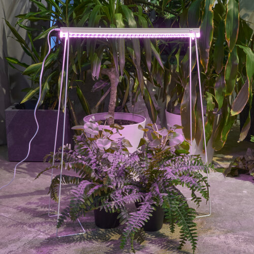 ULI-P56-18W-SPBR IP20 WHITE Светильник для растений светодиодный линейный, 573мм, выкл, на корпусе, Пластик, Спектр для рассады и досвечивания в период роста, TM ФитоЛето - фото 6