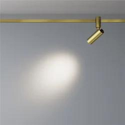 Трековый светильник Focus Led Flarity 4000K 12Вт 50° (Латунь)