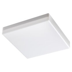 Настенно-потолочный накладной светодиодный  светильник влагозащищенный «Novotech» 358688, серия: PANDORA