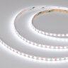 Светодиодная лента RZ-A120-6mm 12V White6000 (12 W/m, IP20, 2835, 5m) (Arlight, 12 Вт/м, IP20) - фото 2