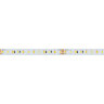 Светодиодная лента RT 6-5000 24V White-MIX 2x (2835, 120 LED/m, LUX) (Arlight, 23 Вт/м, IP20) - фото 2