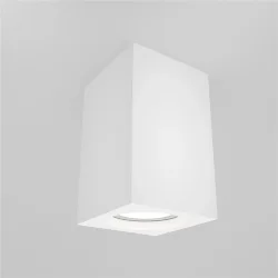 Потолочный светильник Focus GU10 1x10Вт (Белый)