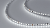 Светодиодная лента холодное белое свечение IP33, DSG3120-24-W-33 - фото