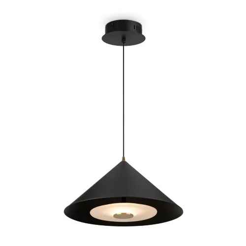 Подвесной светильник Freya FR5397PL-L3B (Черный) - фото 2