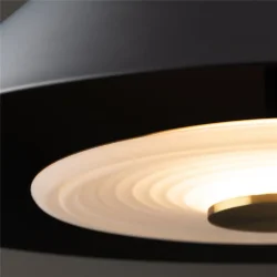 Подвесной светильник Freya FR5397PL-L3B (Черный)