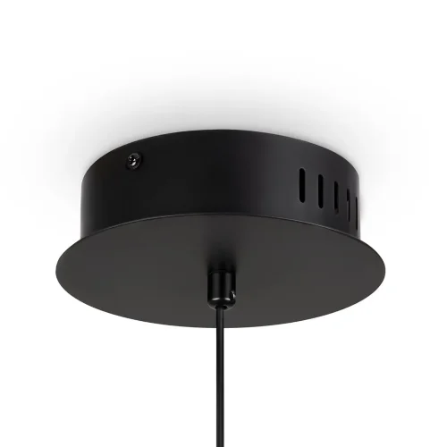 Подвесной светильник Freya FR5397PL-L3B (Черный) - фото 6