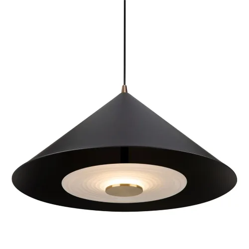 Подвесной светильник Freya FR5397PL-L3B (Черный) - фото 7