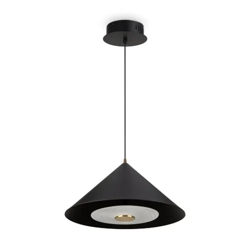 Подвесной светильник Freya FR5397PL-L3B (Черный) - фото 9