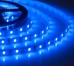 Лента светодиодная ELF 300SMD диодов (2835), 12В, 5м, синяя - фото