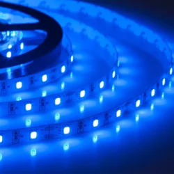 Лента светодиодная ELF 300SMD диодов (2835), 12В, 5м, синяя