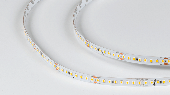 Светодиодная лента SMD-2835 теплый белый тип свечения, DSG2160-24-WW-33. Фото 2