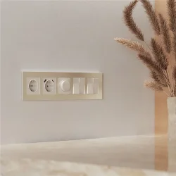 Рамка из металла на 5 постов AluMax шампань алюминий W0053511