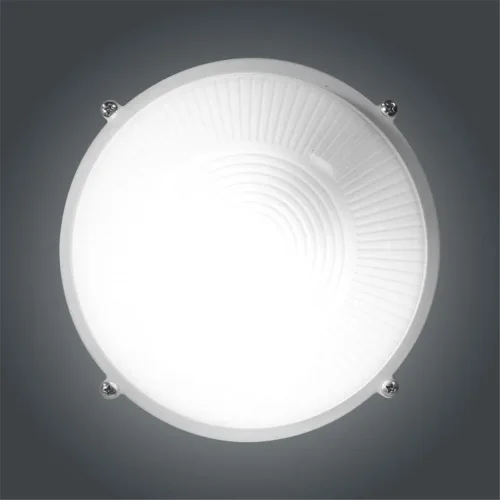 Светильник 'Банник' 1301 НПП 03-60-013 1х60Вт E27 IP65 круг малый корпус бел. Элетех 1005500934 - фото 4