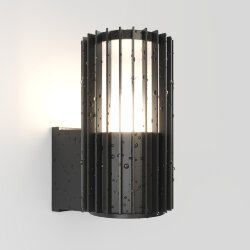 Настенный уличный светильник FARSUN, IP65, 1xE27, до 18 Вт, черный, алюминий, Denkirs DK9722-BK