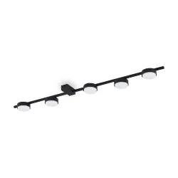 Потолочный светильник Freya FR5363CL-05B (Черный)