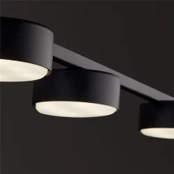 Потолочный светильник Freya FR5363CL-05B (Черный)