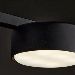 Потолочный светильник Freya FR5363CL-05B (Черный)