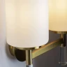 Настенный светильник (бра) Шик / Chic (Латунь) FR2031WL-02BS - фото 3