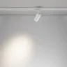 Трековый светильник Focus Led Trinity 2700-5000K 12Вт 36° (Белый) - фото 4