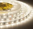 Лента светодиодная ELF 300SMD диодов (2835), 12В, 5м, белый дневной 5000-5500К - фото