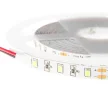 Лента светодиодная ELF 300SMD диодов (2835), 12В, 5м, белый дневной 5000-5500К - фото 2