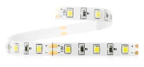 Лента светодиодная ELF 300SMD диодов (2835), 12В, 5м, белый дневной 5000-5500К - фото 3
