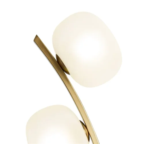 Настольный светильник Freya FR5444TL-03BS (Латунь) - фото 7